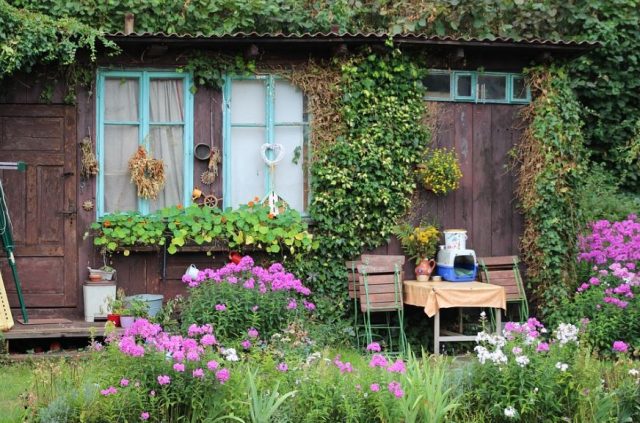 A she shed showing a outside design of how your shed could look on the exterior